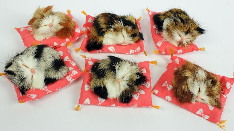 [.CatItem.PictureAltTag]