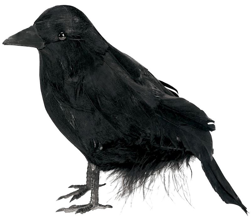 Deko Krähe schwarz 17 cm 