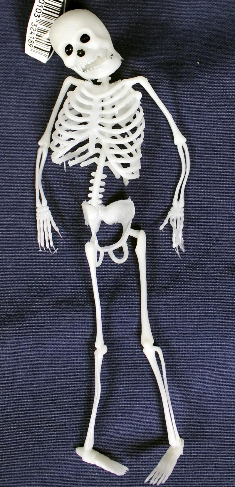 PVC Skelett 22 cm 