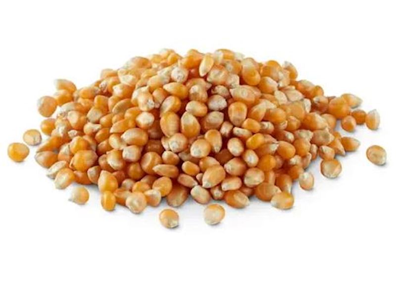 Popcorn-Mais Popgold Rosemary, Sack à 20kg
