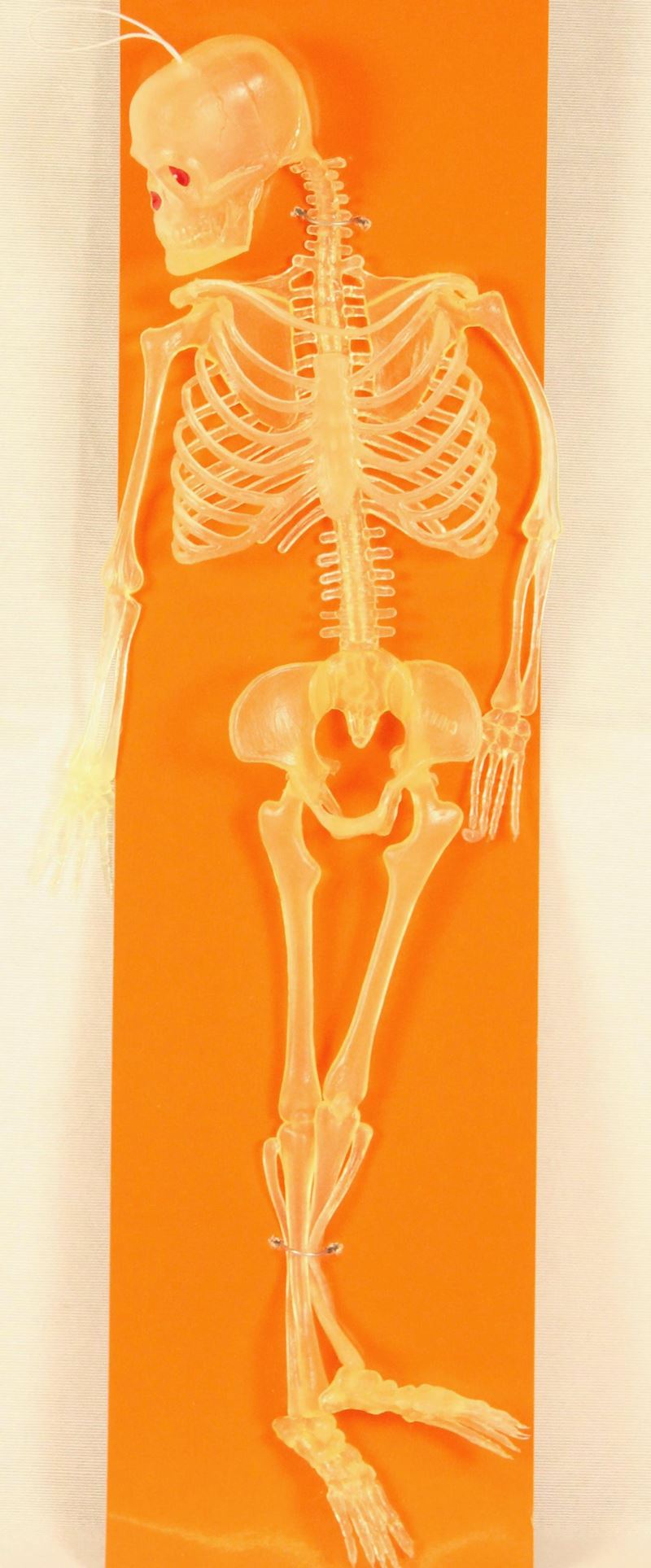 Squelette en PVC 35cm 