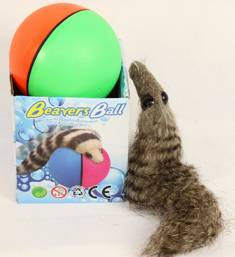 Wieselball Beavers Ball div. Farben (exkl. 2 AA-Batterien)