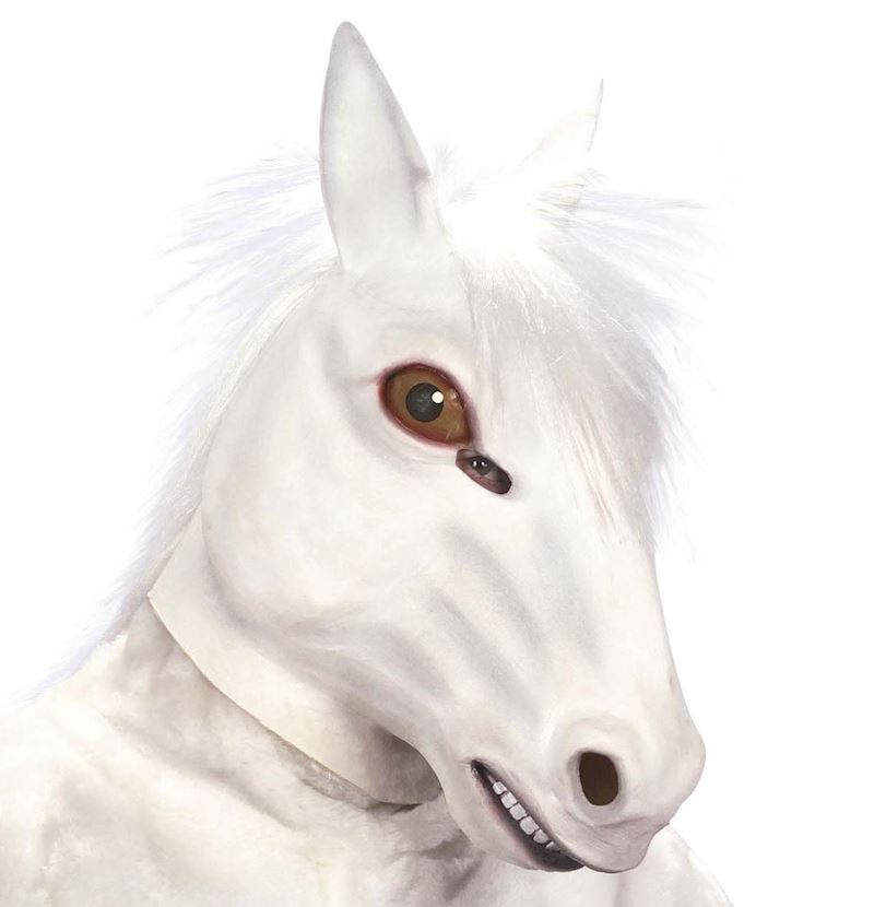 Masque cheval blanc 